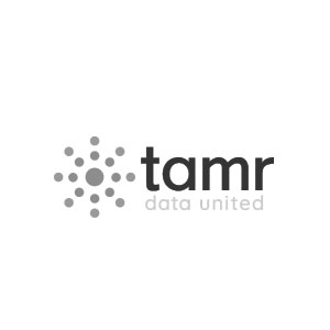 Tamr company logo