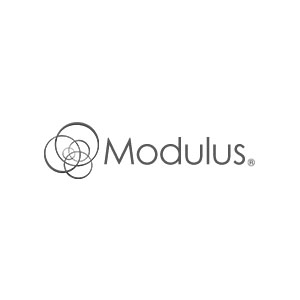 Modulus company logo