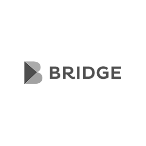 Bridge company logo