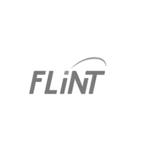 Flint Learning Solutions company logo